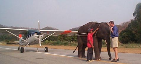 Bush Pilot groundhandling