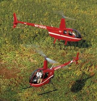 R22 and R44